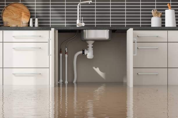 Best Flooded house restoration  in Mexico, MO