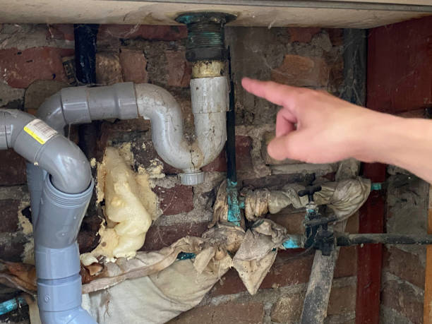 Best Water damage restoration near me  in Mexico, MO